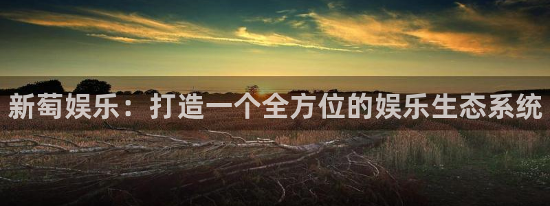焦点娱乐注册：新萄娱乐：打造一个全方位的娱乐生态系统